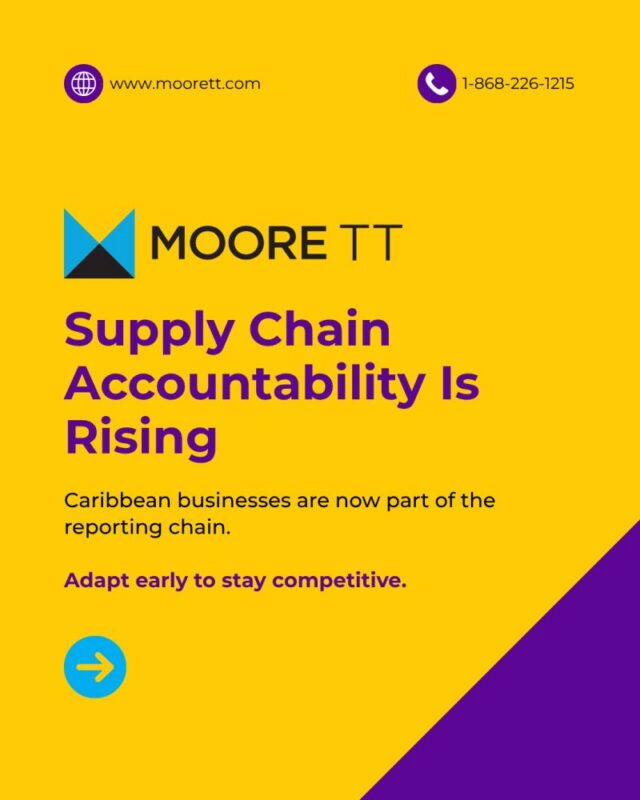 Supply Chain Accountability Is Rising: Why Caribbean Businesses Are Now in the Reporting Chain